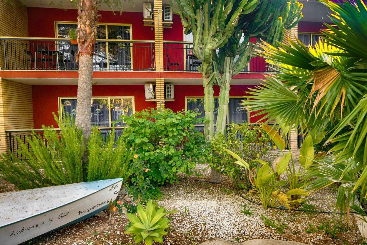Apartamentos Palasiet Benidorm Bagian luar foto